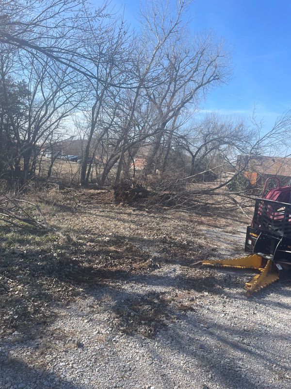 Tree and debris cleanup project